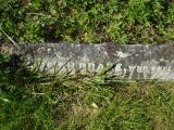 image of grave number 313167